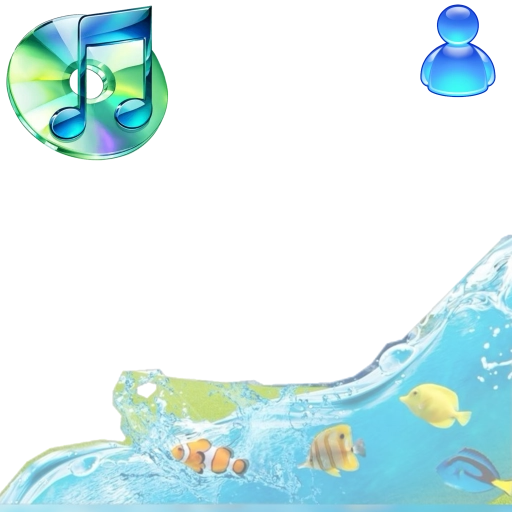 @windows95